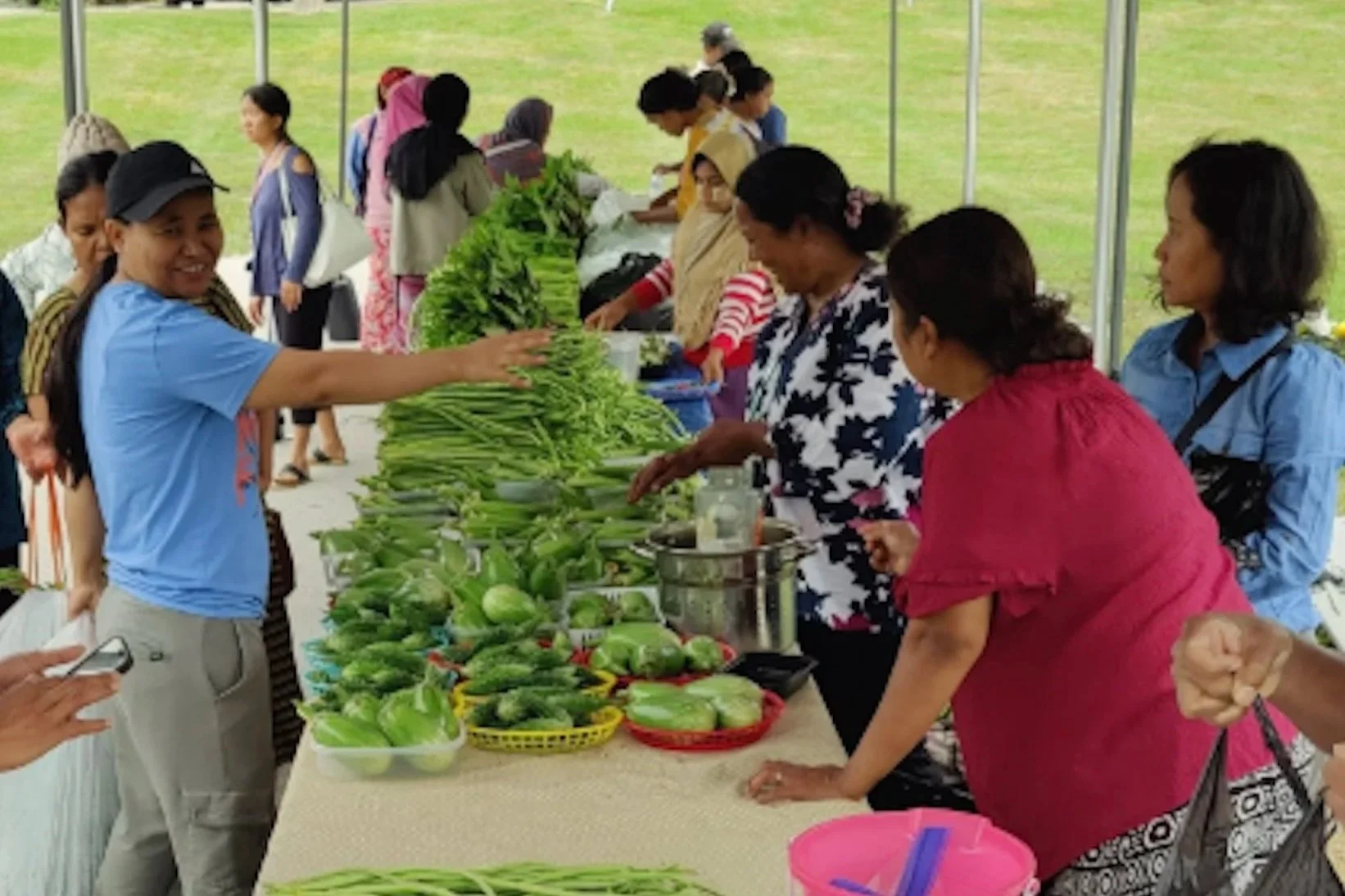 Parkview Greenhouse &amp; Learning Kitchen: Meet Me at the Market