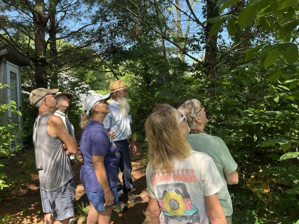 Looking for paw paws at BHF.jpeg