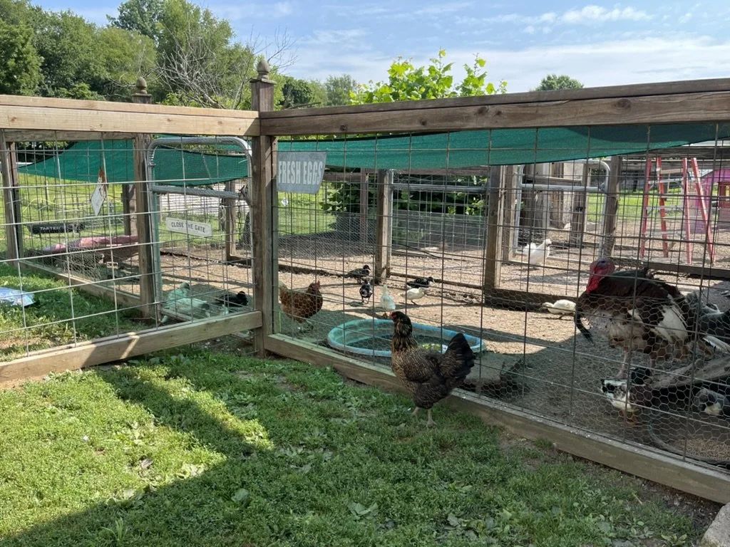 Poultry at E-Brewing.jpeg