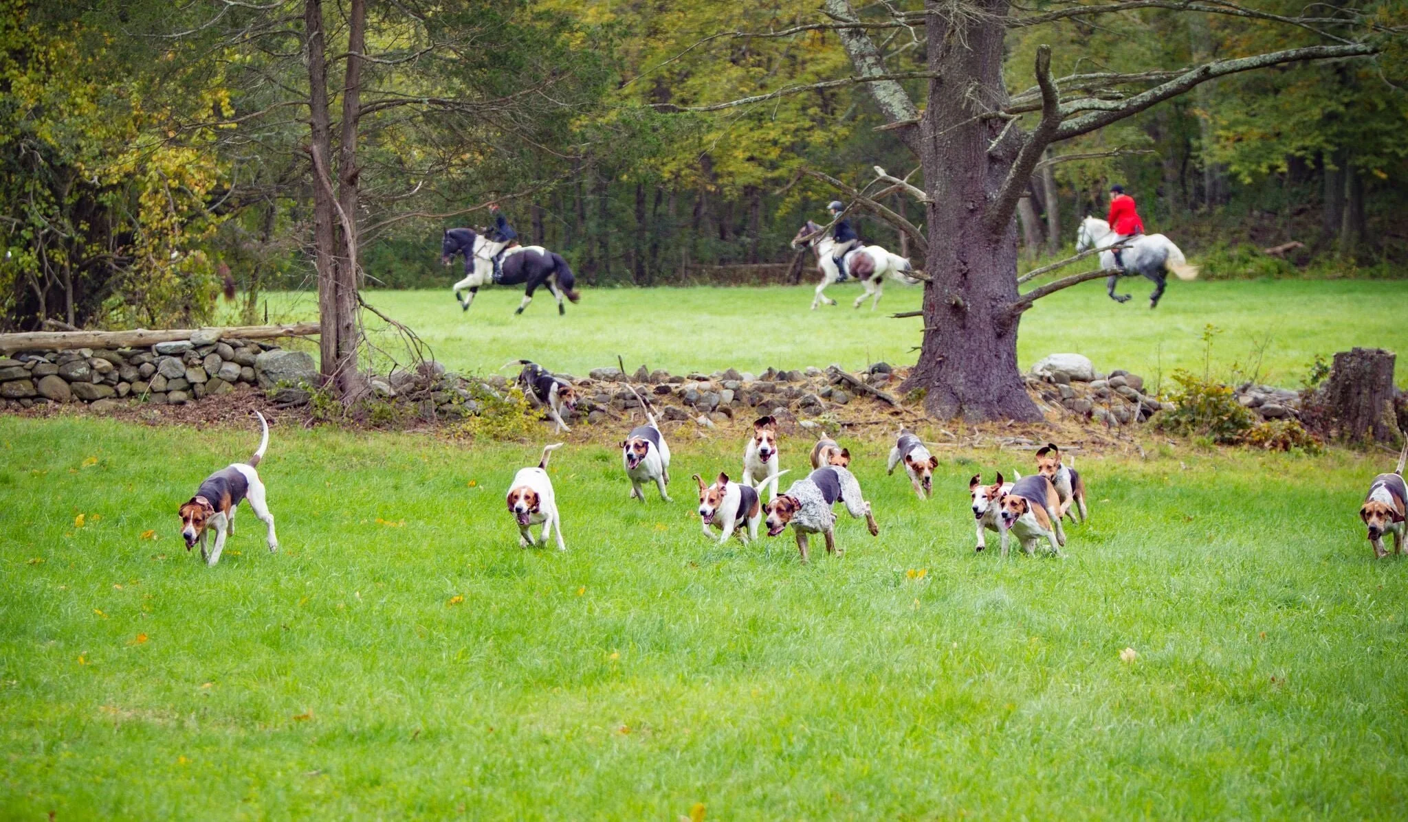 Team Chase ($50 per rider / 2-4 riders per team)