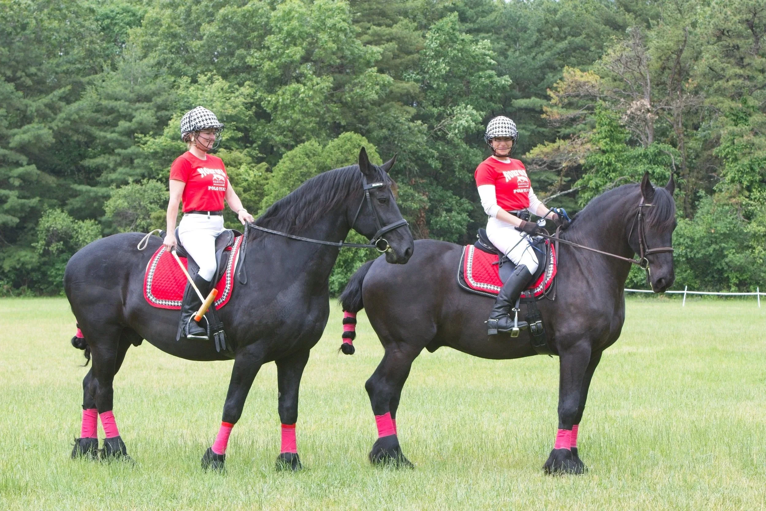 Adult Entry (18 or over)