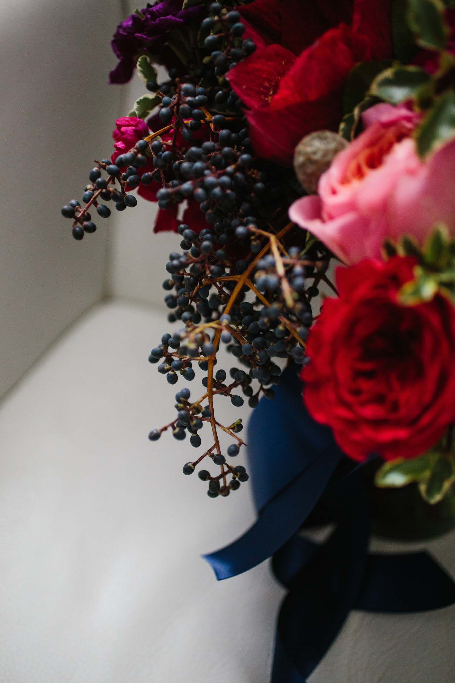 navy blue privet berries