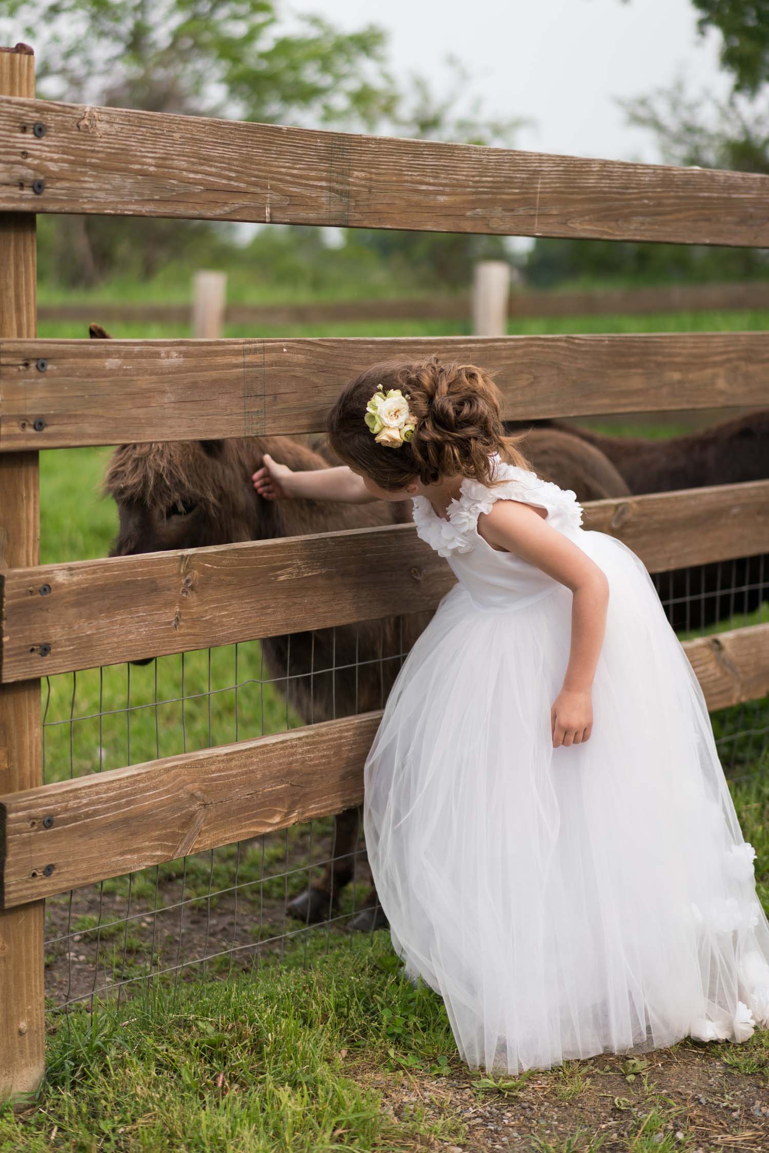 flower girl with donkey