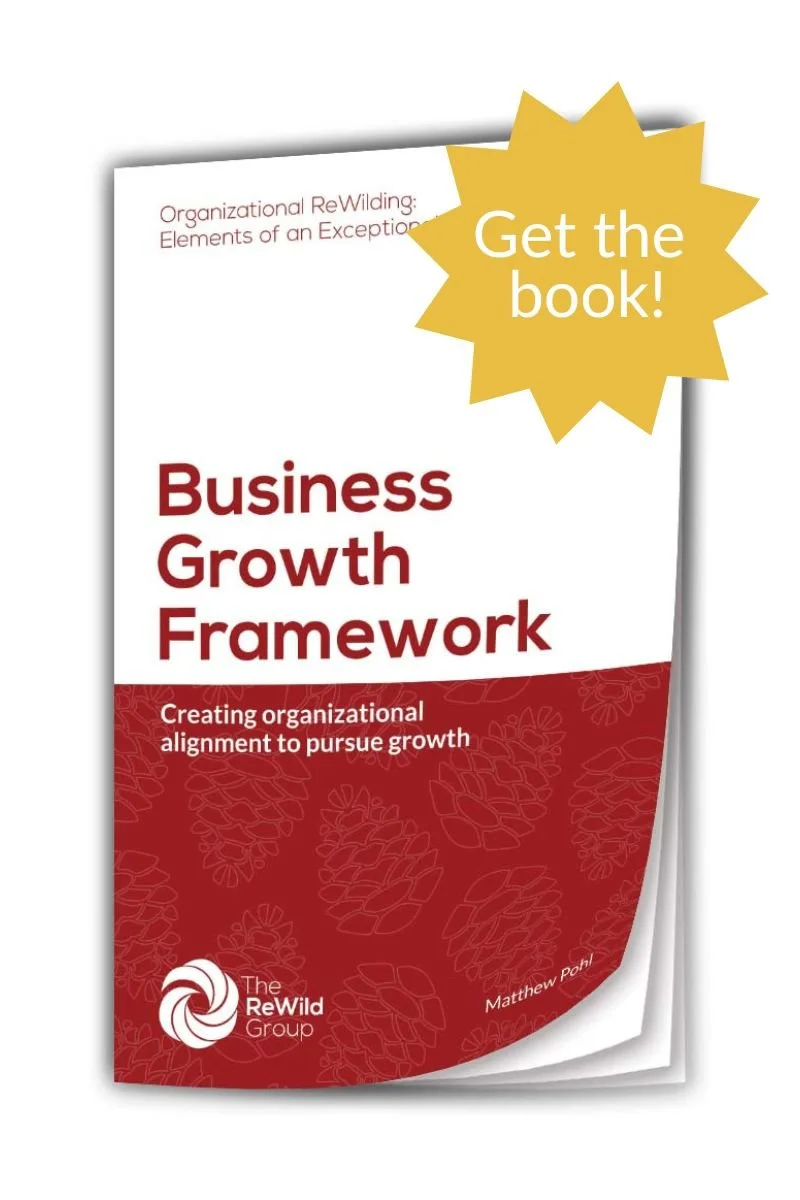 Unlock Success: Business Growth Framework Engagement Guide — The ReWild ...