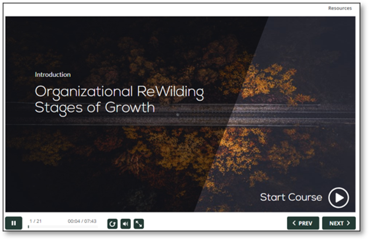 stages of growth online video series