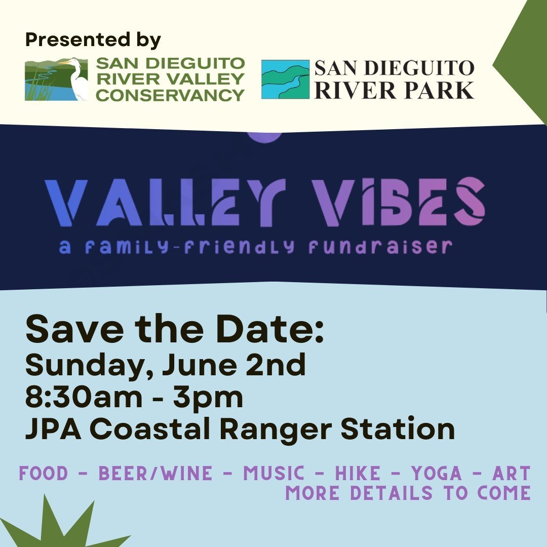 Valley Vibes - A family-friendly fundraiser