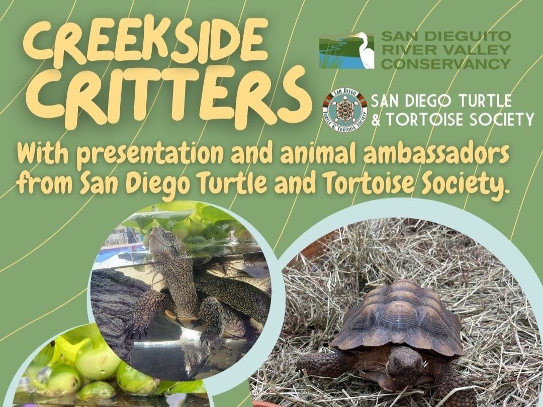 Creekside Critters Event