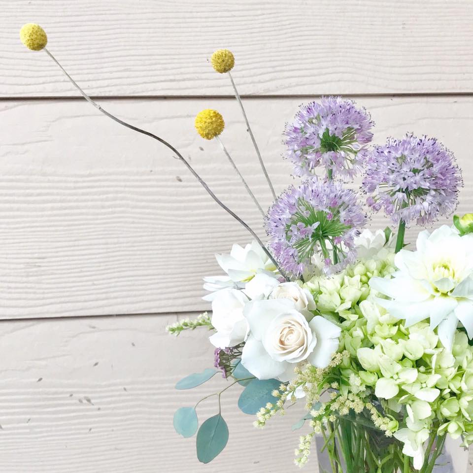 alliums for alyssa.jpg