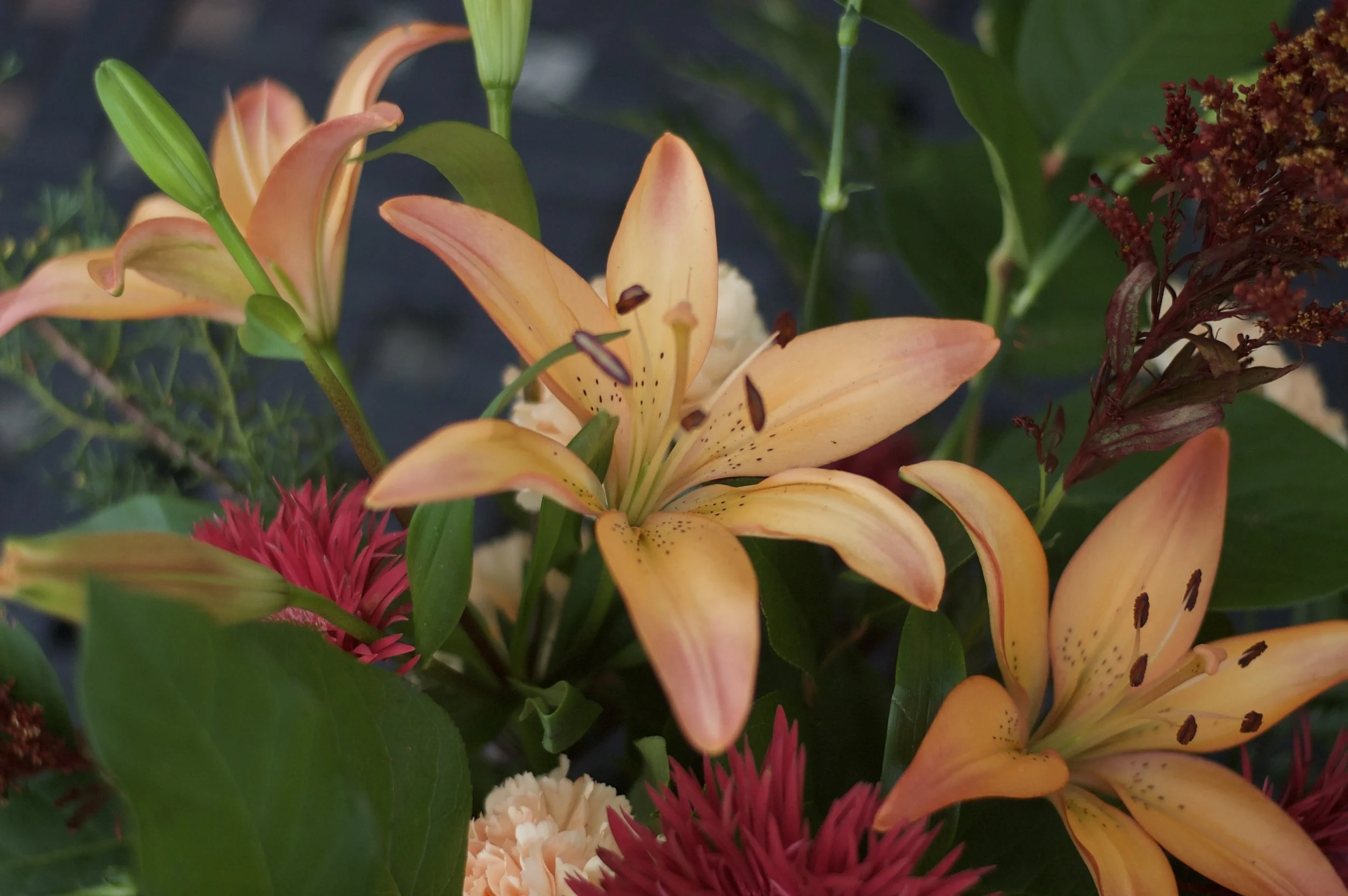 Peachy orange Asiatic lilies as the large focal flowers