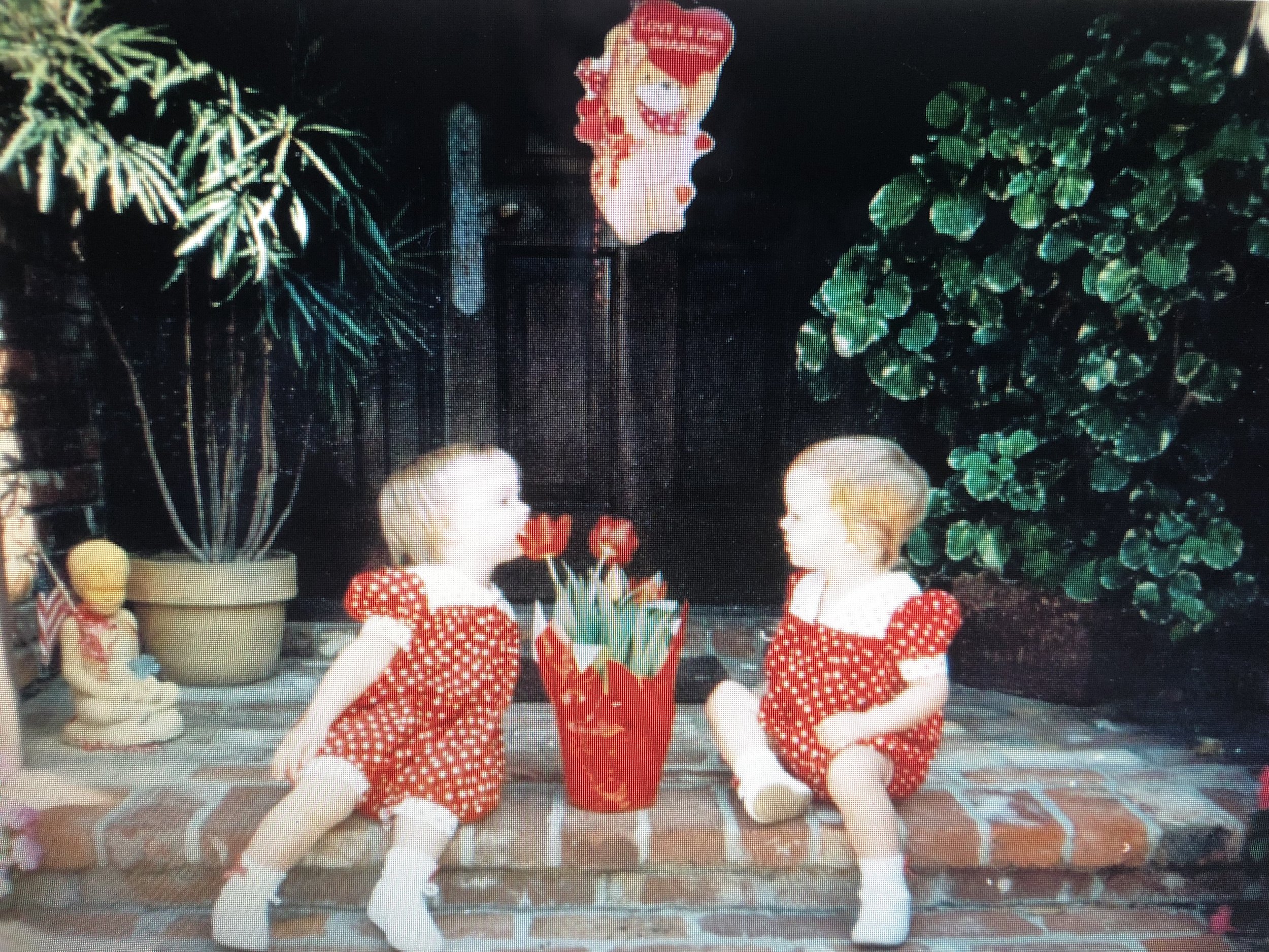 Valentine's Day circa 1992 where my sister attempted to EAT a tulip