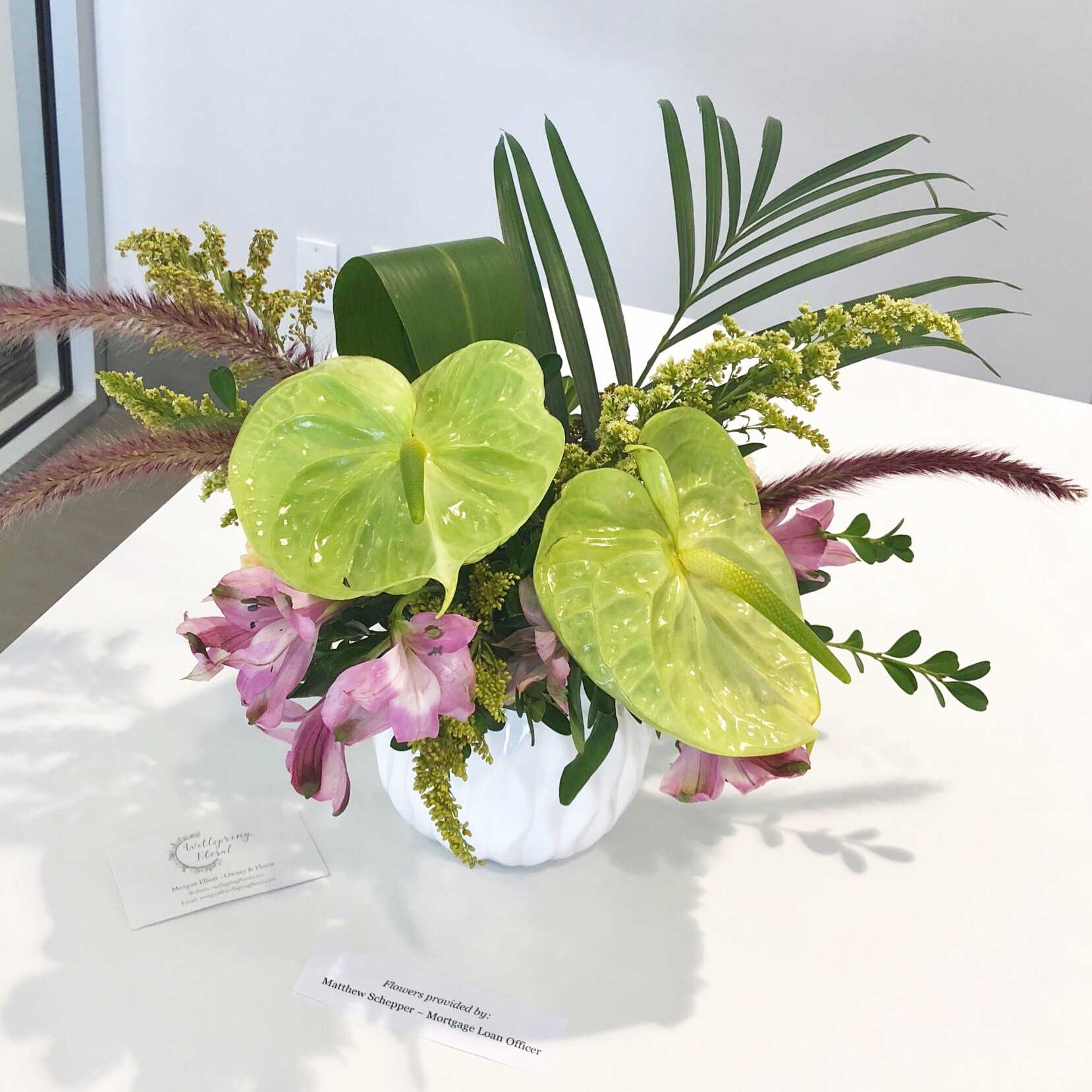Tropical Green Anthurium