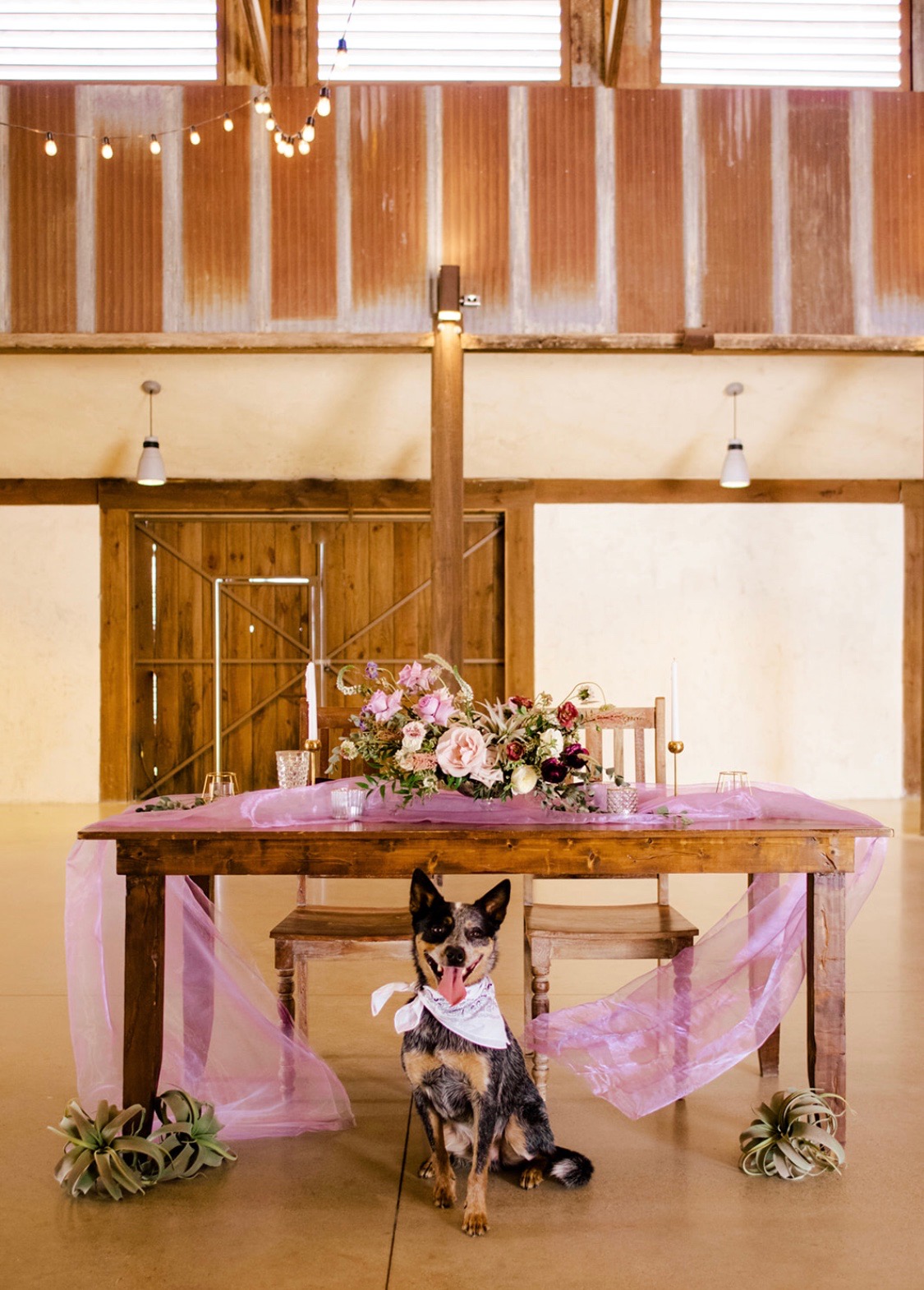 Lone Oak Barn | Round Rock, TX