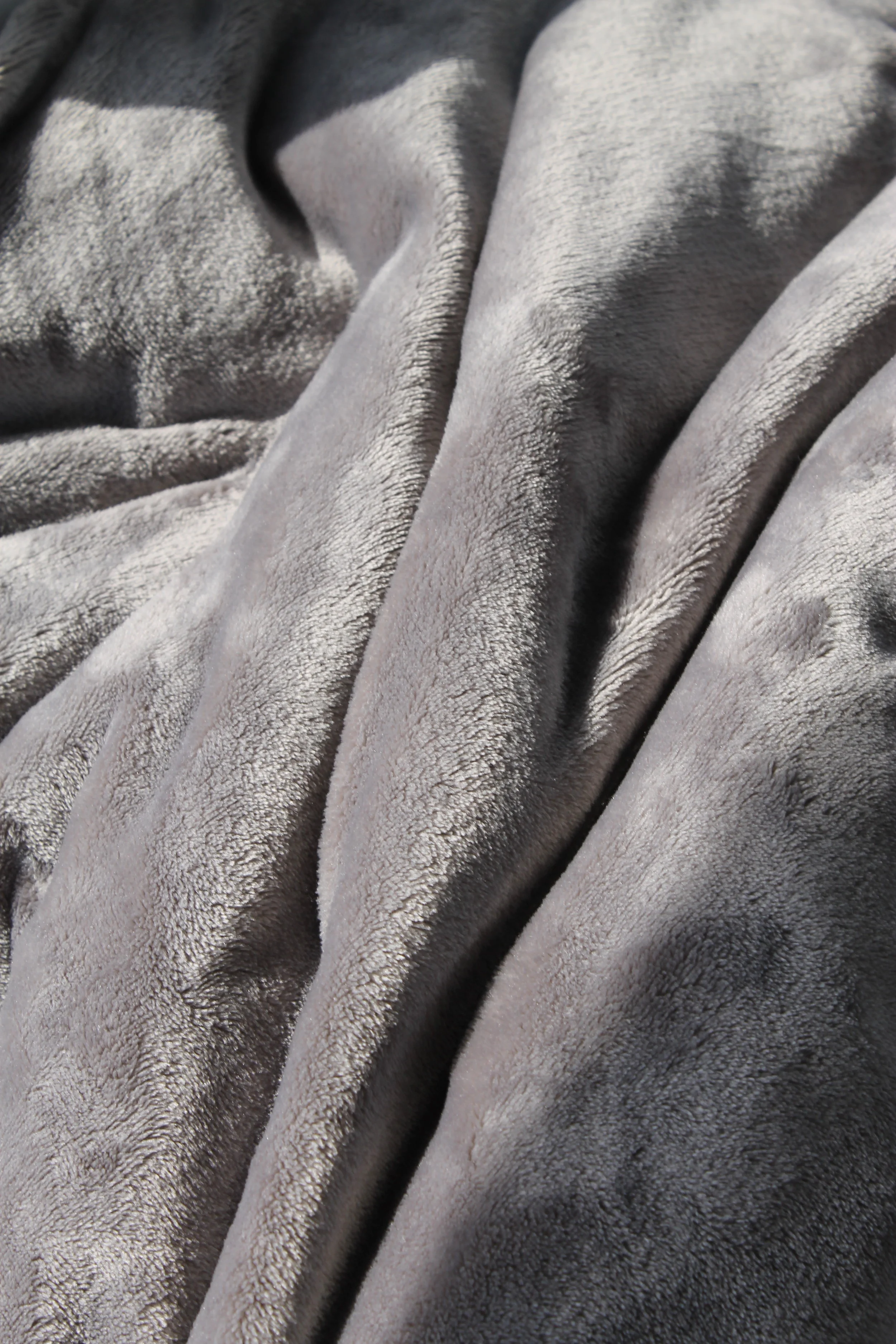 grey close up 3 .JPG