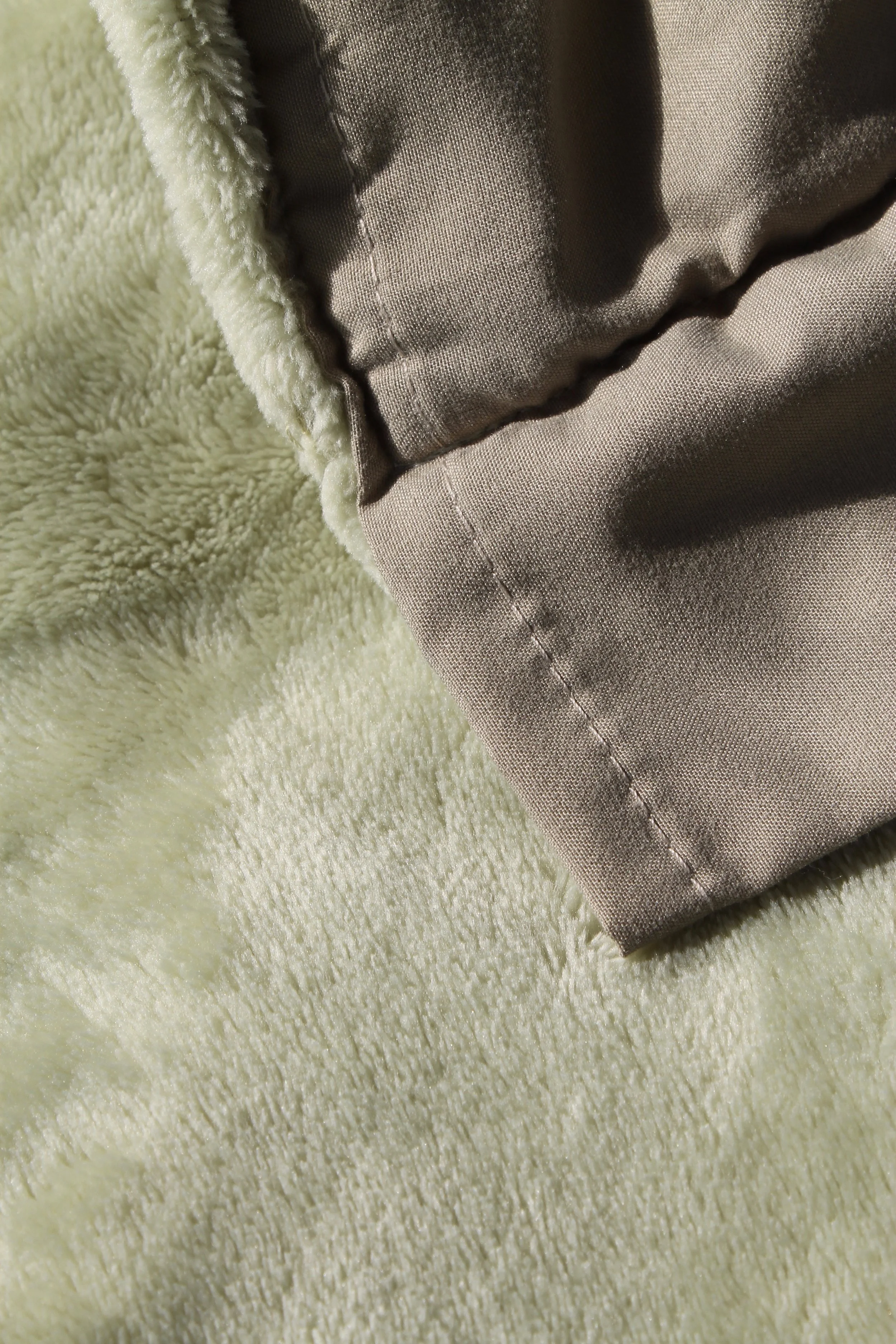 sage close up.jpg