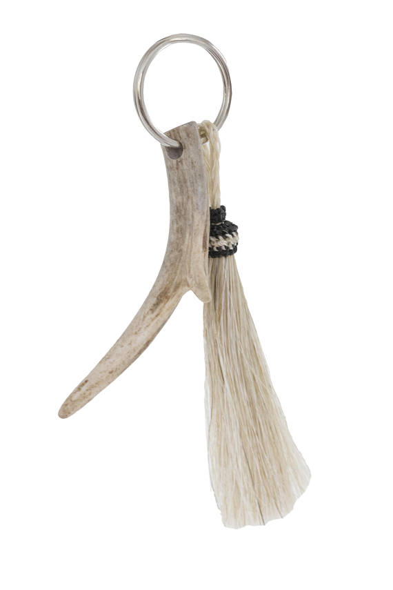 WhiteHorseHair.jpg