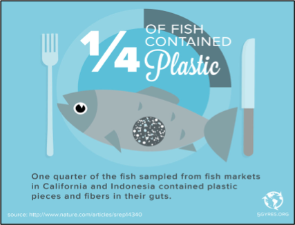 Microbead3.png