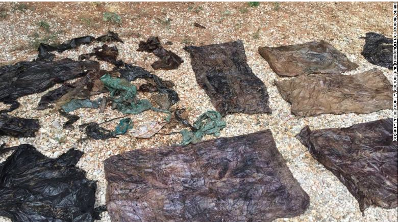 El Valle Wildlife Center found 64 lbs of plastic waste on a young sperm whale.