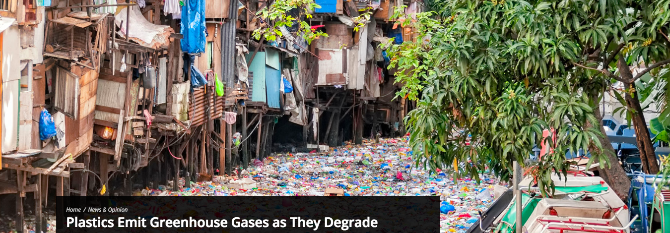Aug 2, 2018 SHAWNA WILLIAMS Need another reason to ditch straws? A study published yesterday (August 1) in PLOS ONE reports that plastics—ranging from construction materials to plastic bags—release the greenhouse gases methane and ethylene after being exposed to sunlight and beginning to degrade. “Our results show that plastics represent a heretofore unrecognized source of climate-relevant trace gases that are expected to increase as more plastic is produced and accumulated in the environment,” the study authors write in their paper. The researchers, all based at the University of Hawai‘i at Manoa, tested the emissions of seven types of plastics as they degraded: polyethylene terephthalate, polycarbonate, high-density polyethylene and low-density polyethylene (LDPE), acrylic, polypropylene, and polystyrene. All gave off methane and ethylene in the days after being exposed to sunlight, they found, but polyethylene, which is used to make plastic bags, was the worst offender. See full article at source: https://www.the-scientist.com/news-opinion/plastics-emit-greenhouse-gases-as-they-degrade-64600