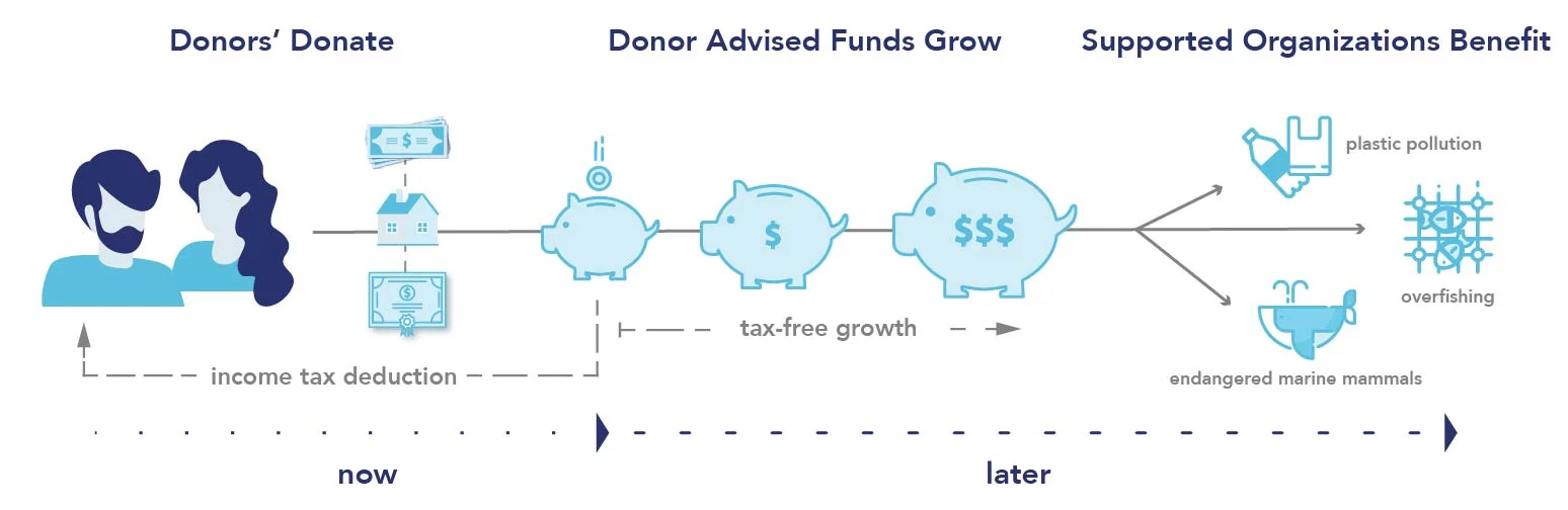 donor-advised-fund.jpg