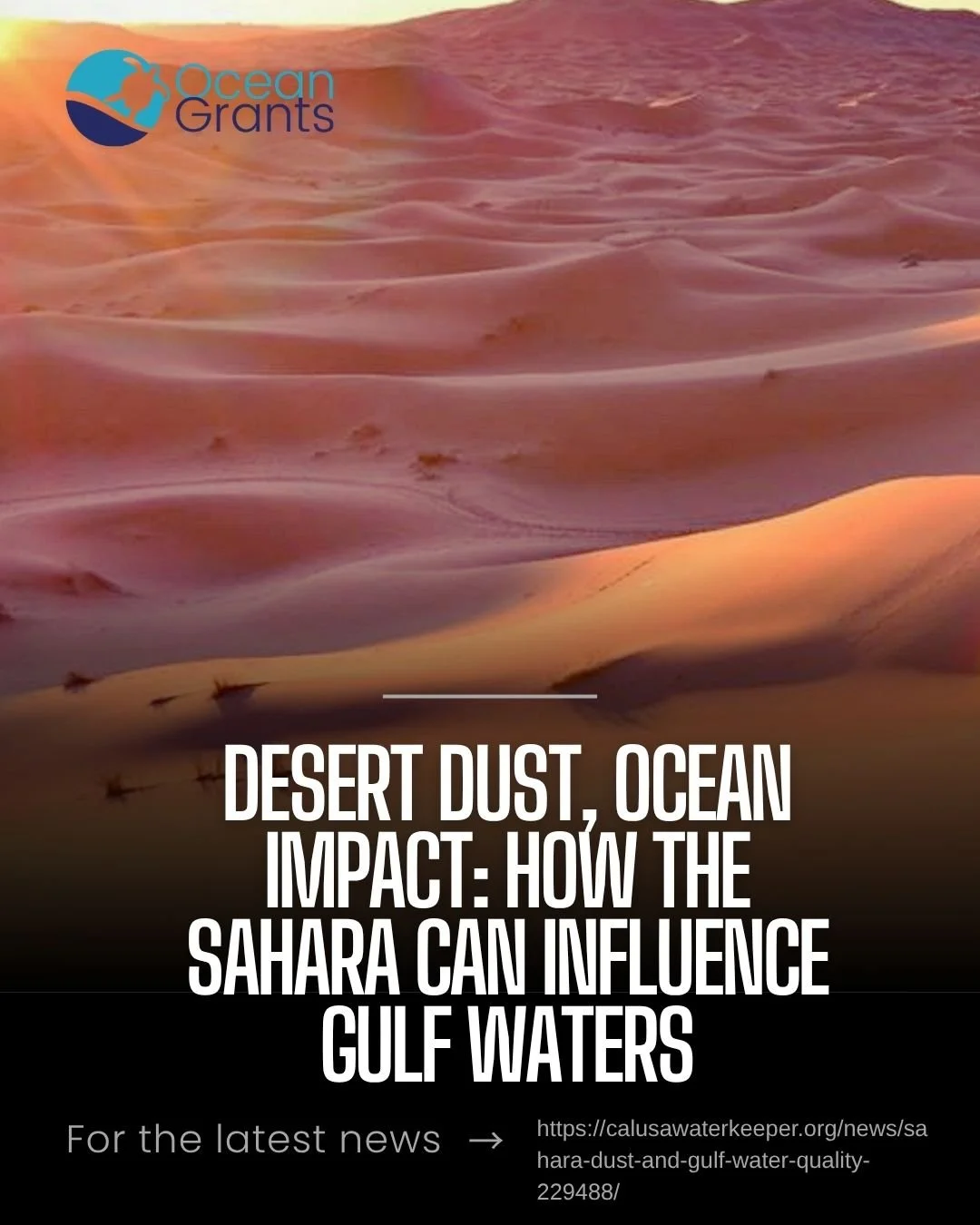 🌍 Desert Dust, Ocean Impact: How the Sahara Can Influence Gulf Waters