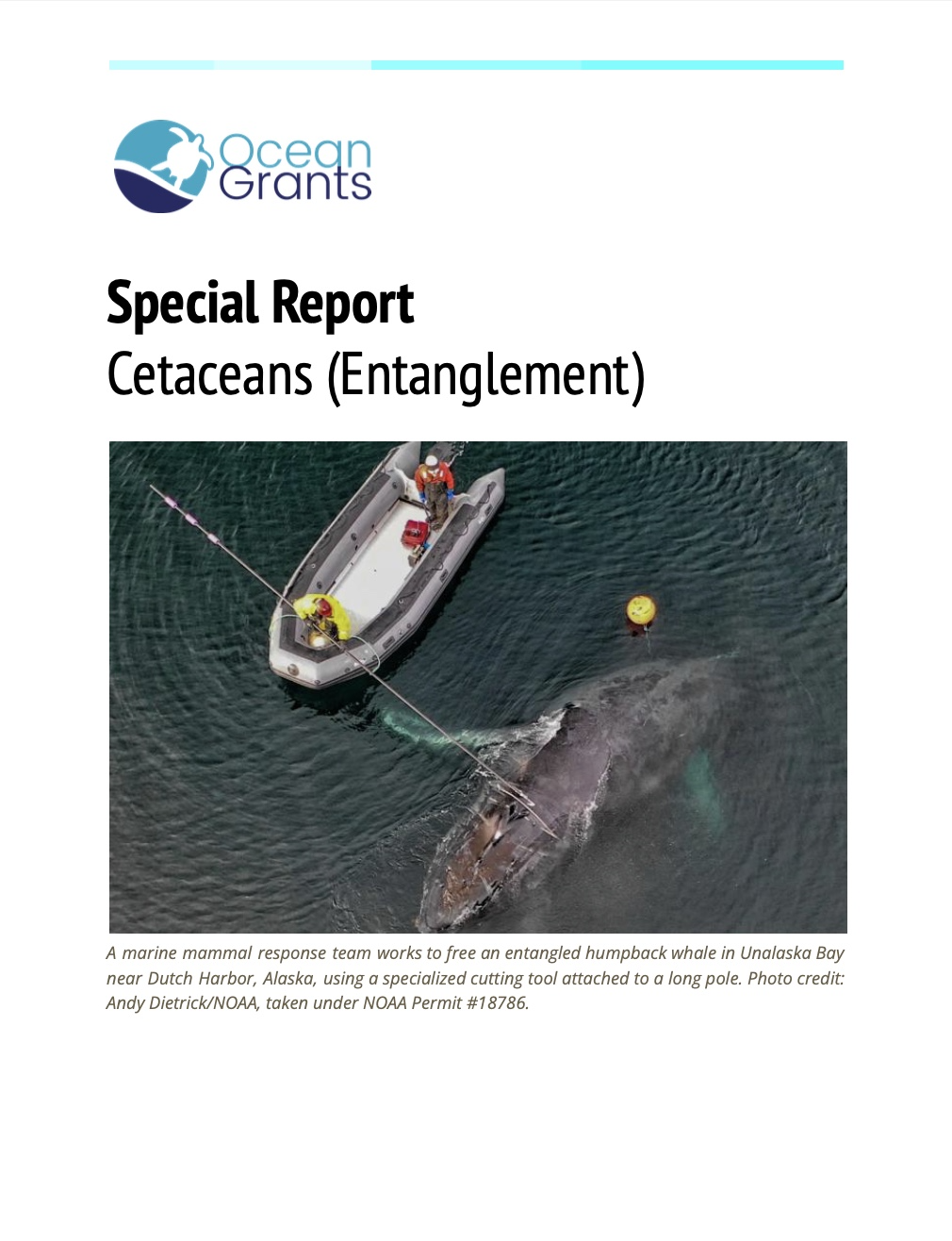 Entanglement Special Report