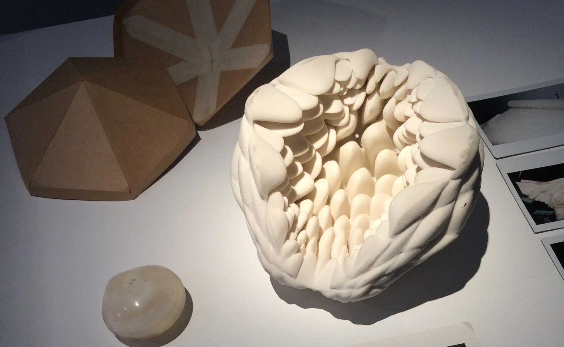 London based designer draws both on research into shells and past work for her display.