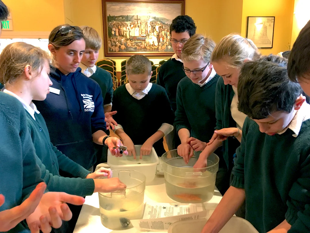 Seashells_science_Hall.jpg