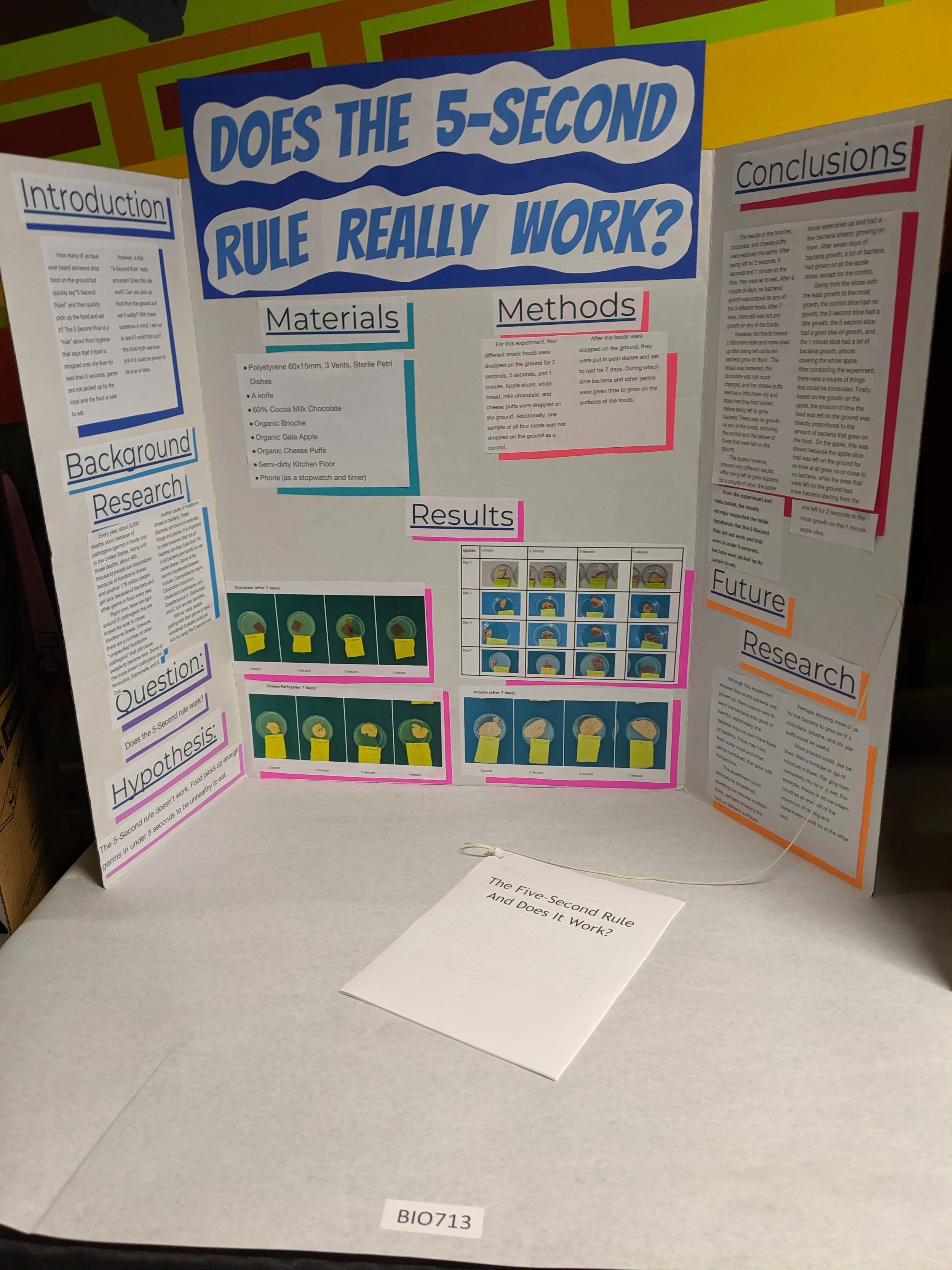 7th And 8th Grade Science Fair Projects At Randall Science Museum Saint John Of San Francisco Orthodox Academy
