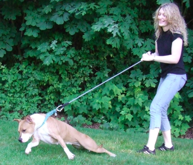 pulling on leash