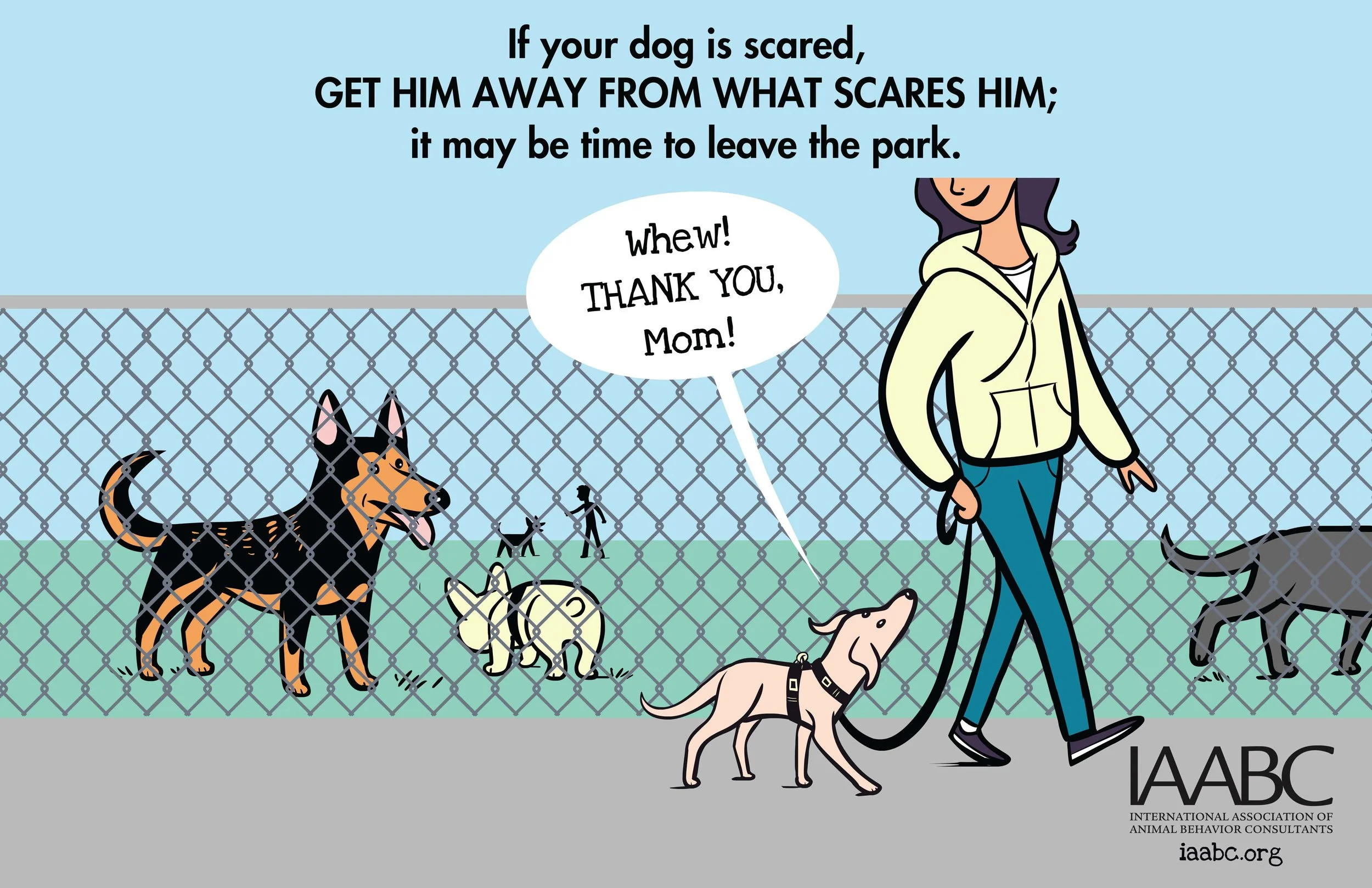 dog-behavior-dog-park.jpg
