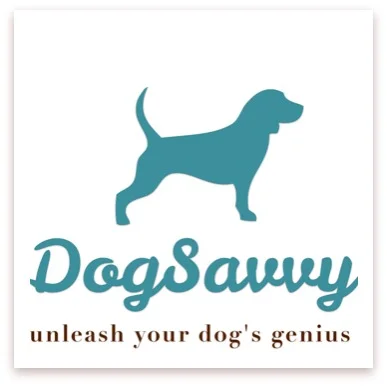 all positive dog training