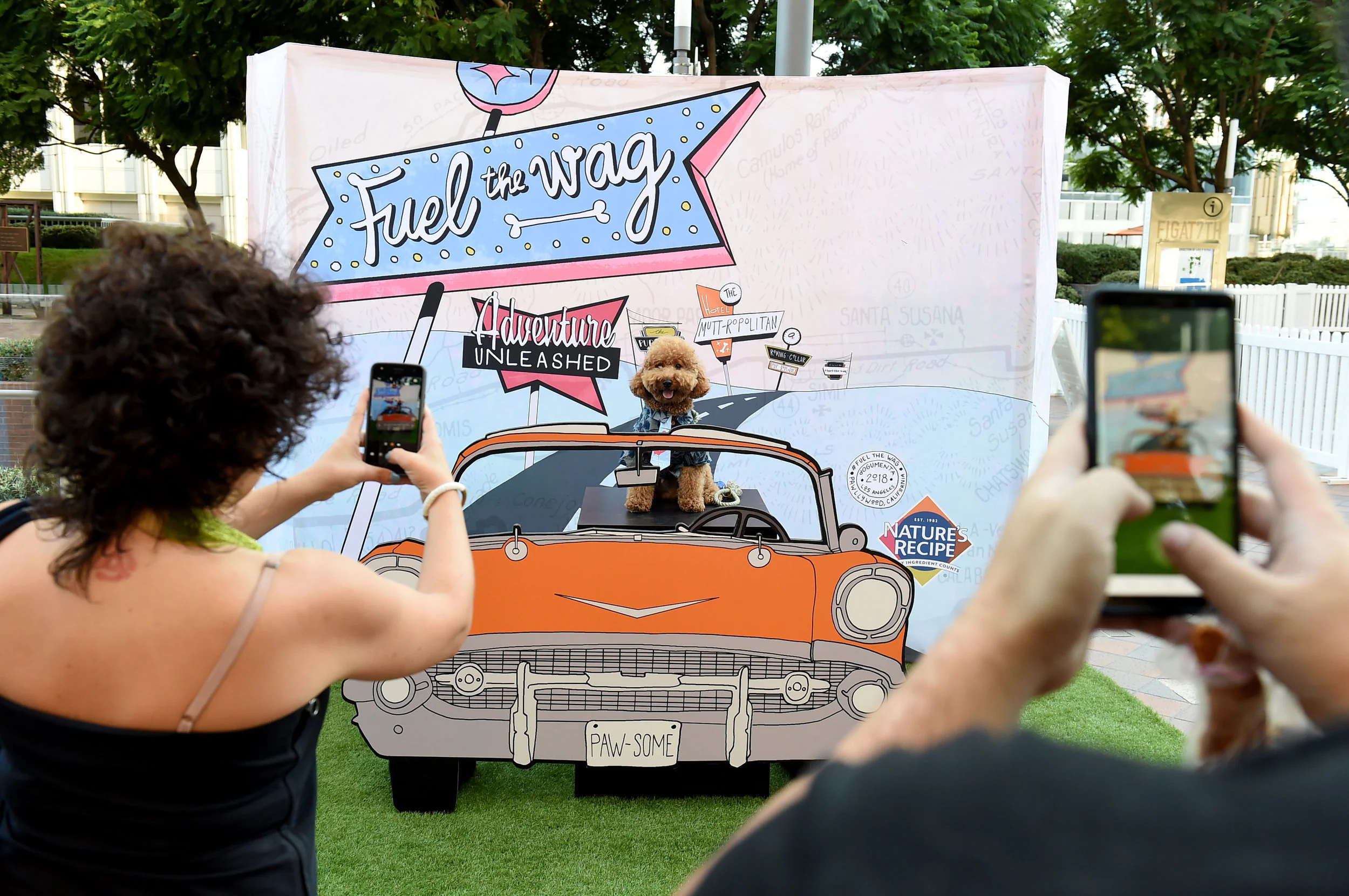 Dogumenta L.A. - America's First Art Show For Dogs