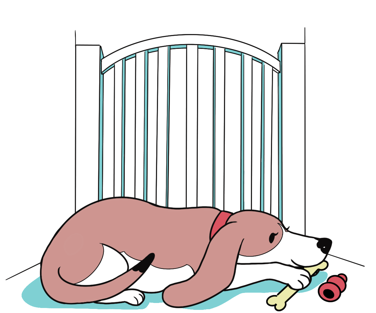 cure separation anxiety