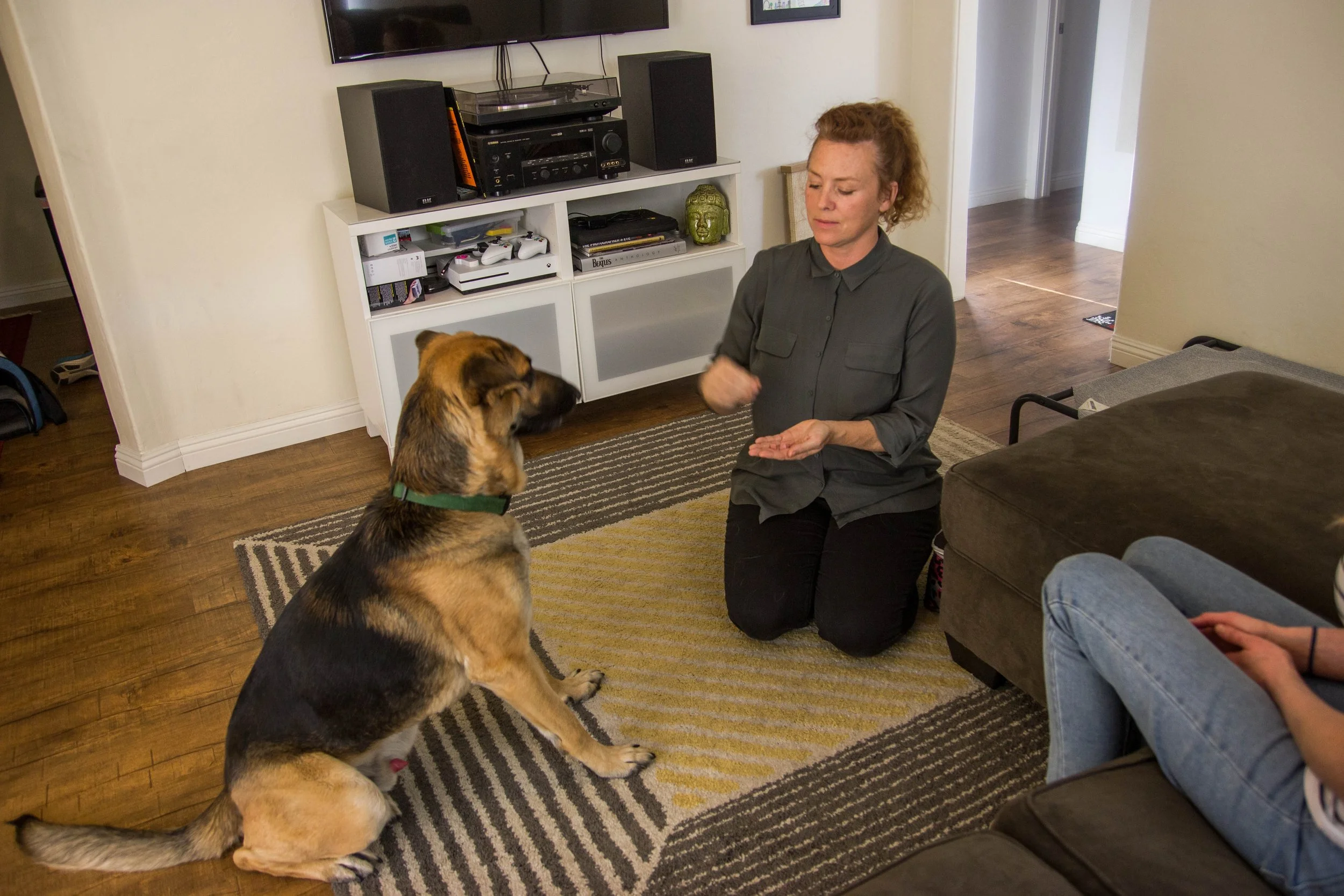 Positive Dog Trainers in Los Angeles