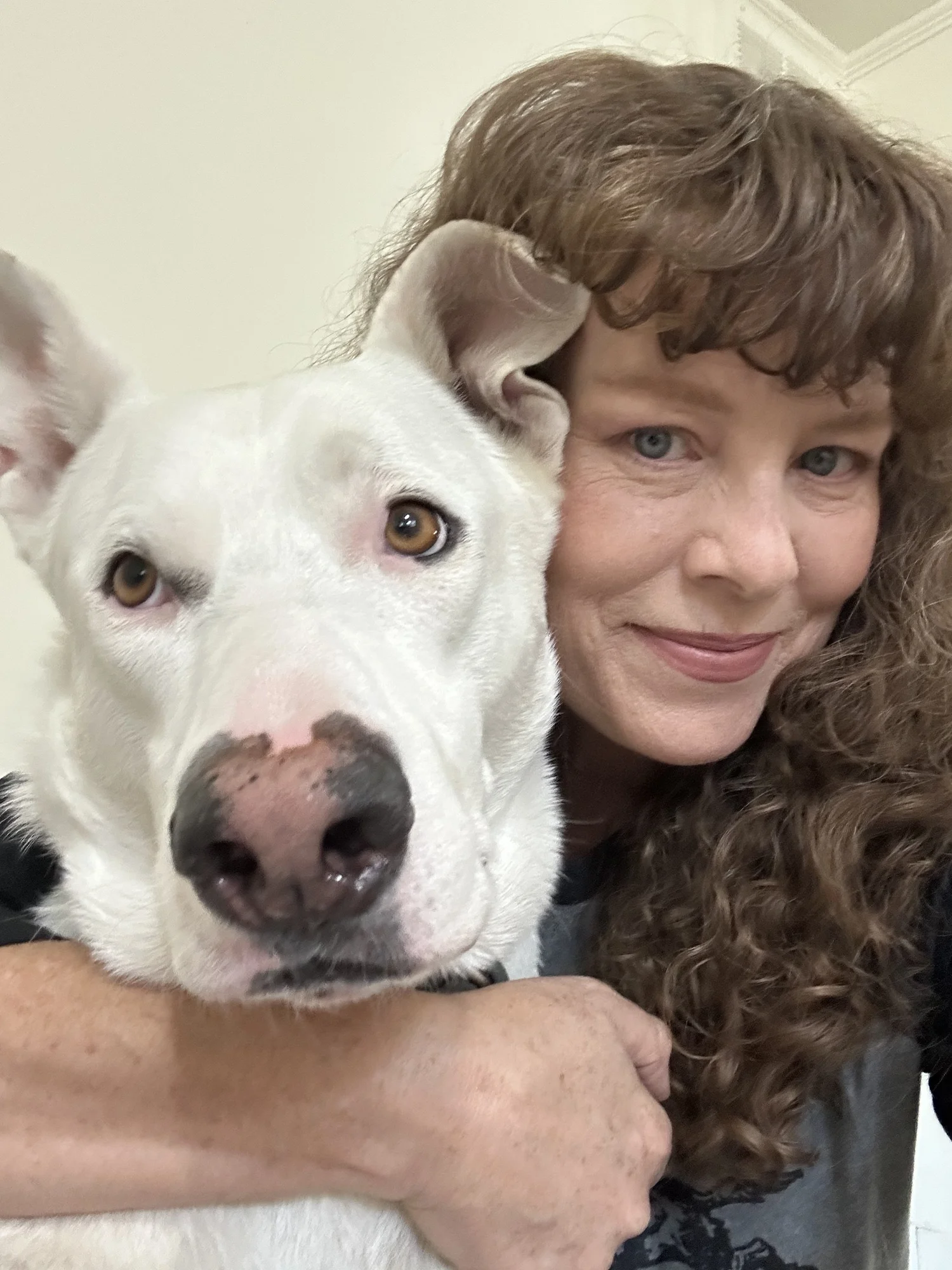 Sore Throat in Dogs: Causes, Symptoms, and Treatment | Dog Savvy