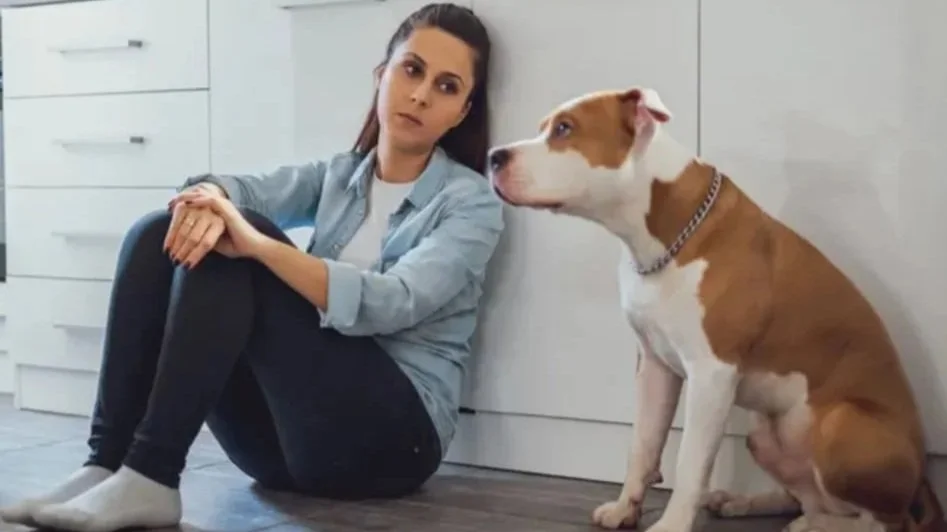 Why New Parents Sometimes Resent Their Pets