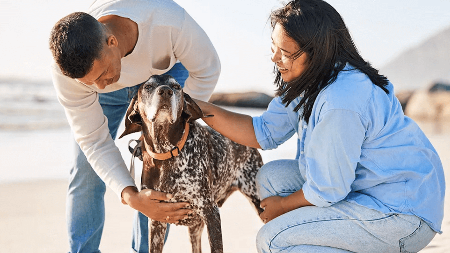 Do Dogs Remember People?