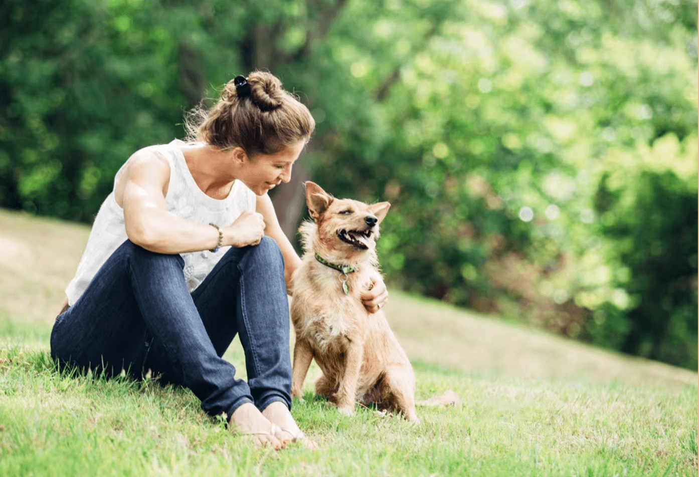 7 Signs Your Senior Dog is Happy