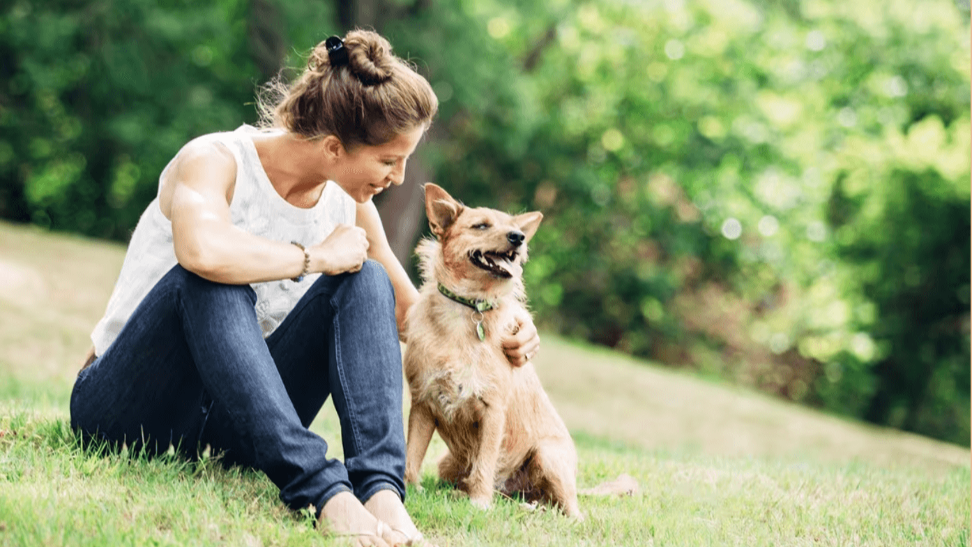 7 Signs Your Senior Dog is Happy