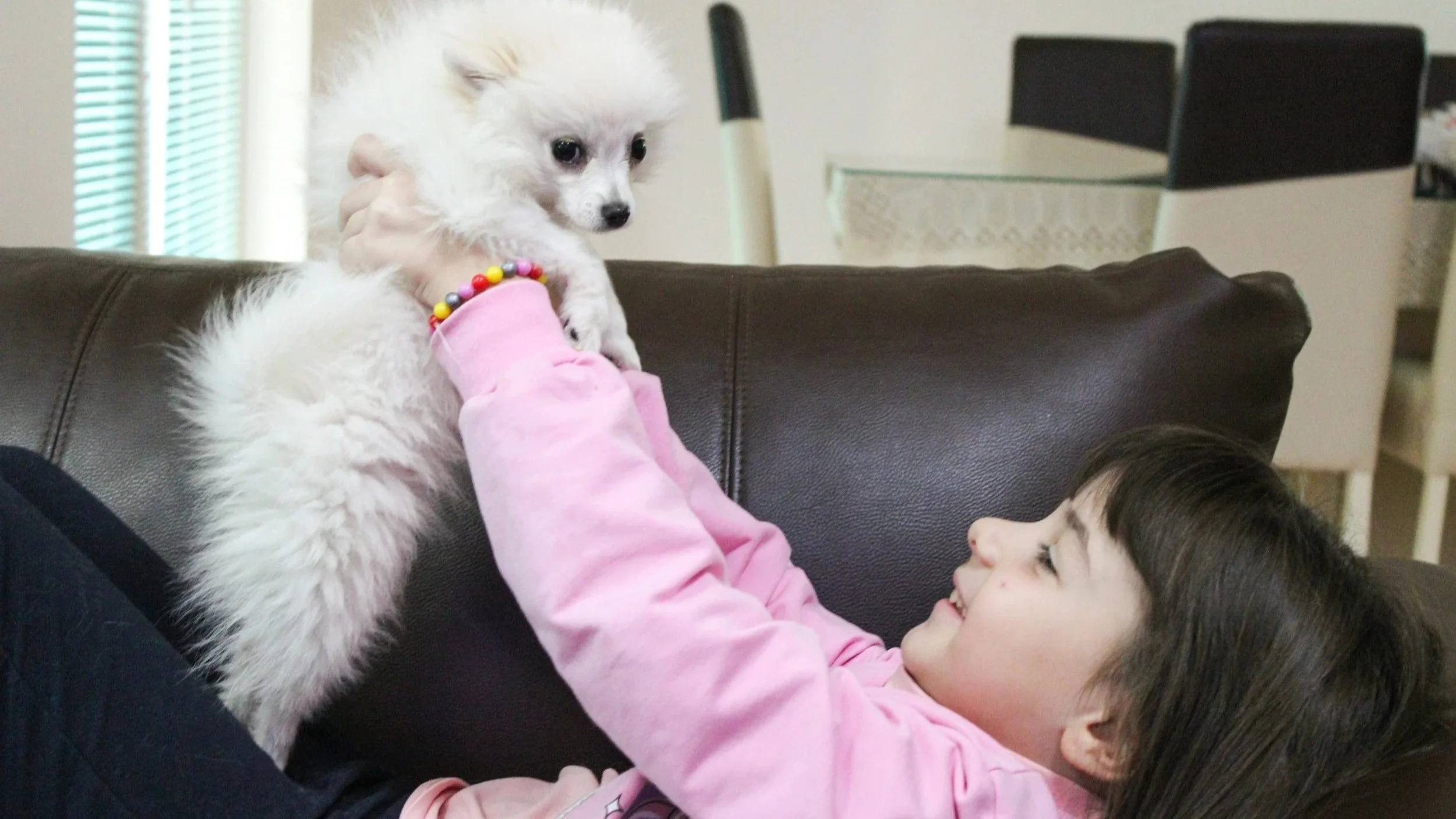 The 4 Biggest Mistakes Kids Make Around Dogs, According to an Expert