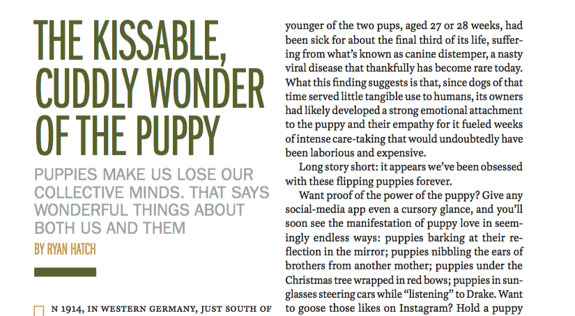 Time: Science of Puppies