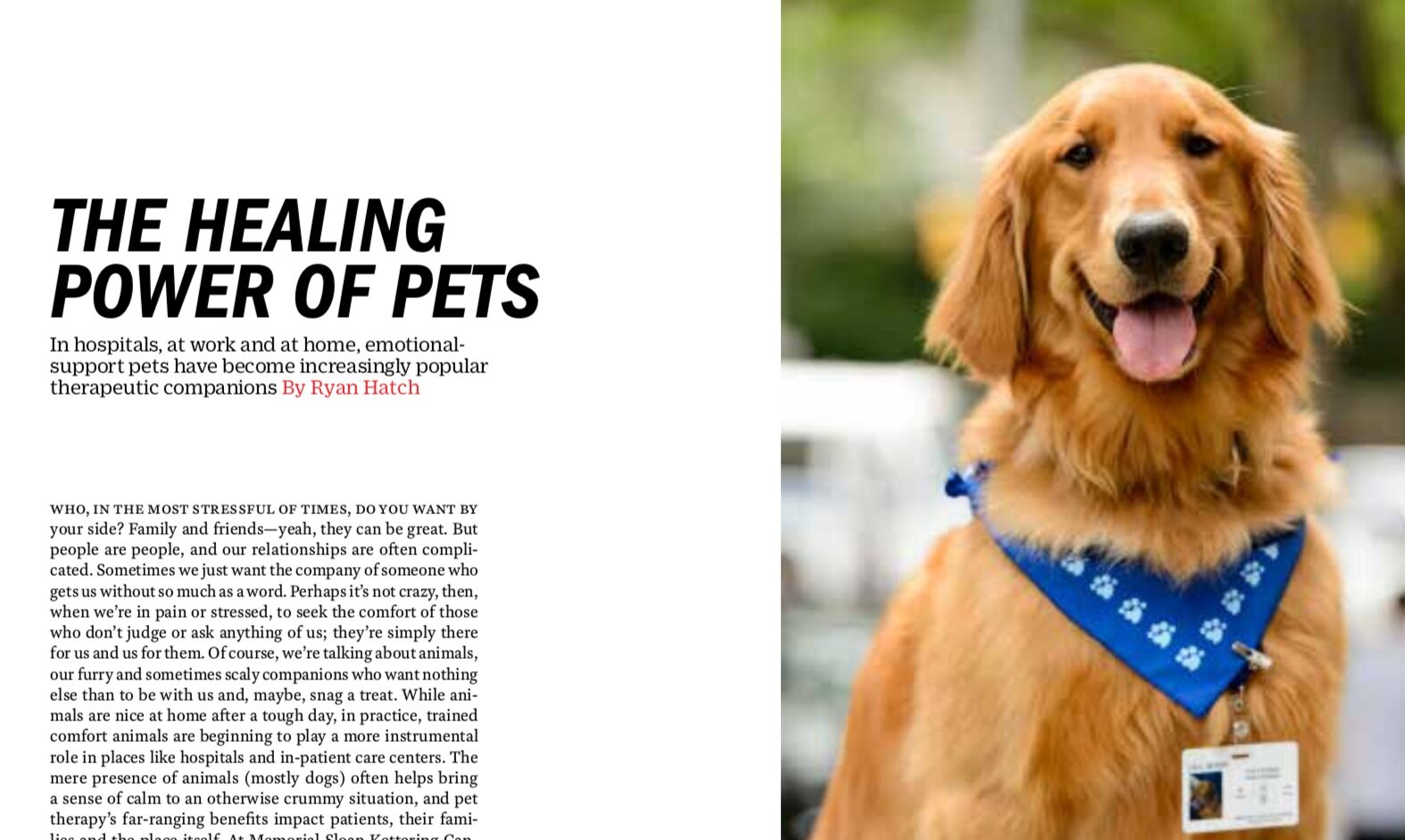 Time: Healing Power of Pets 