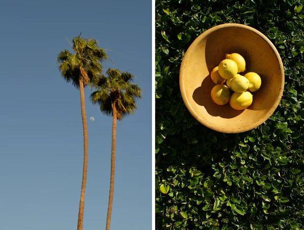 Charm Hour  ::  Margaritas in Palm Springs