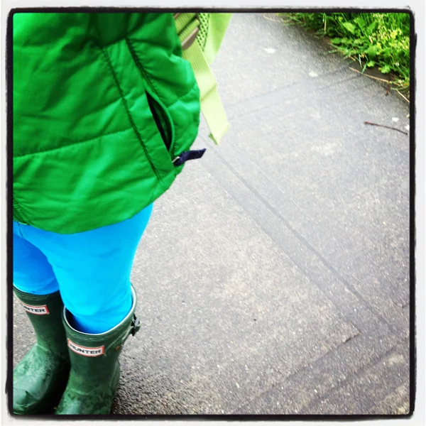 Hedin-Green.jpg