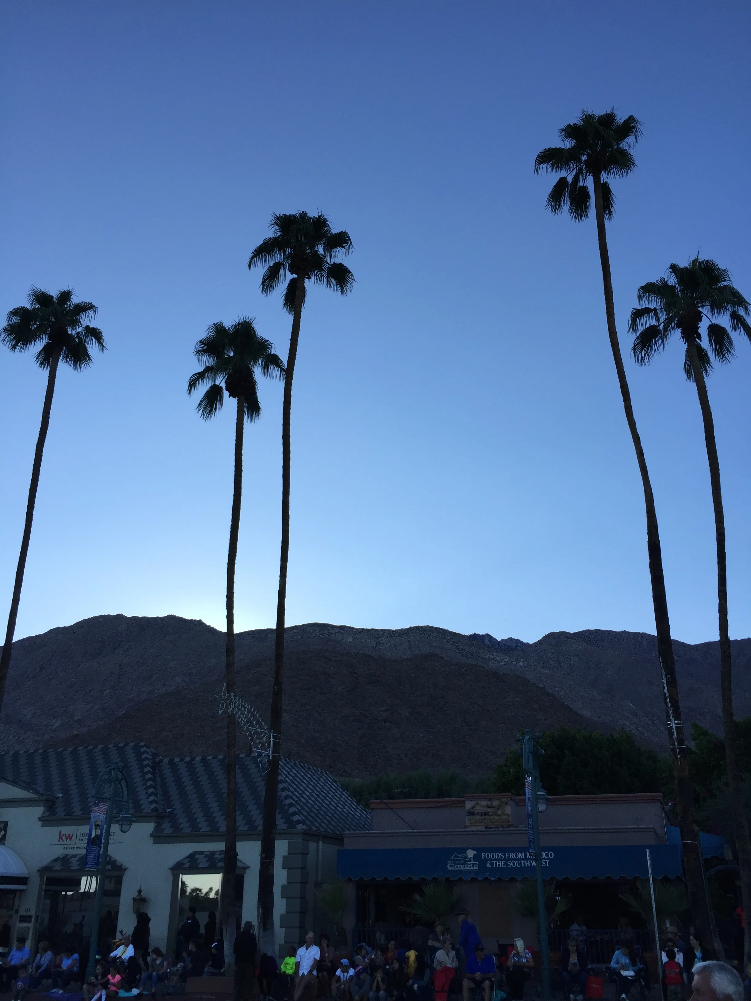 a fun & funky {family} Palm Springs eating guide