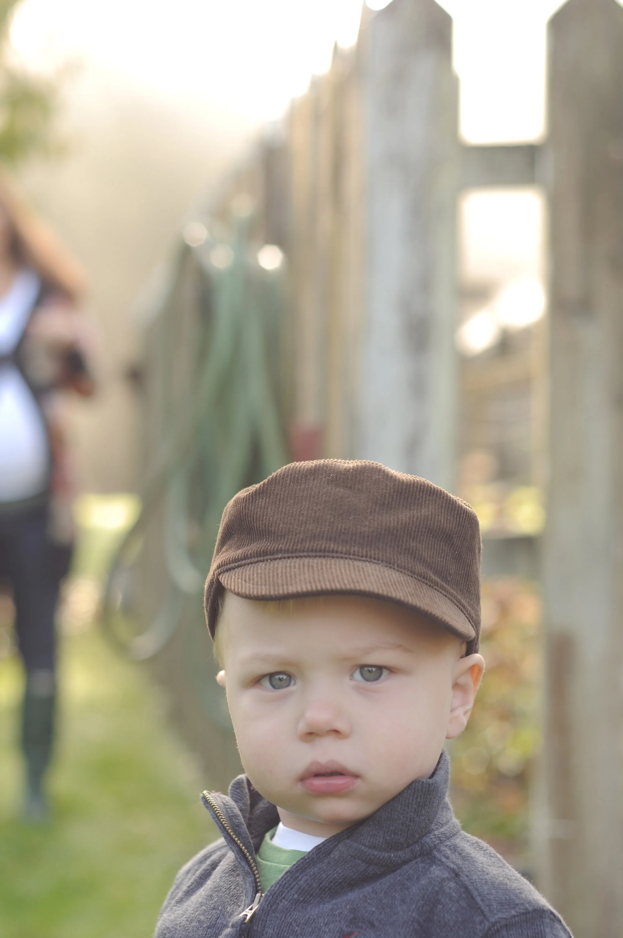 Hedin Pumpkin Patch 4.jpg