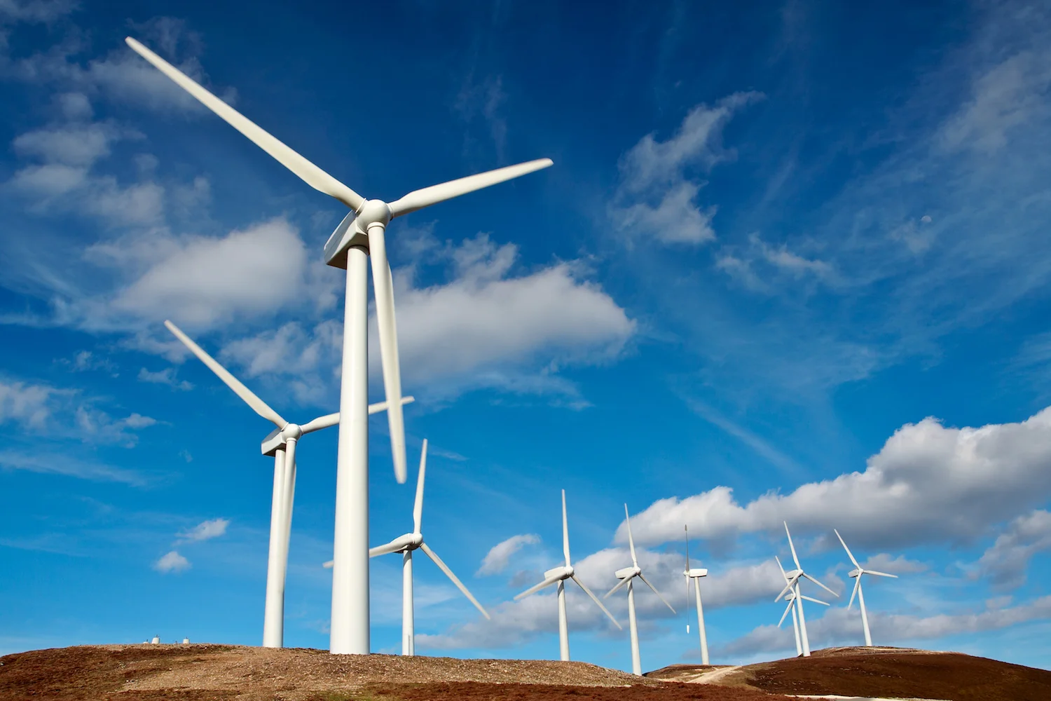 Windmill.jpg