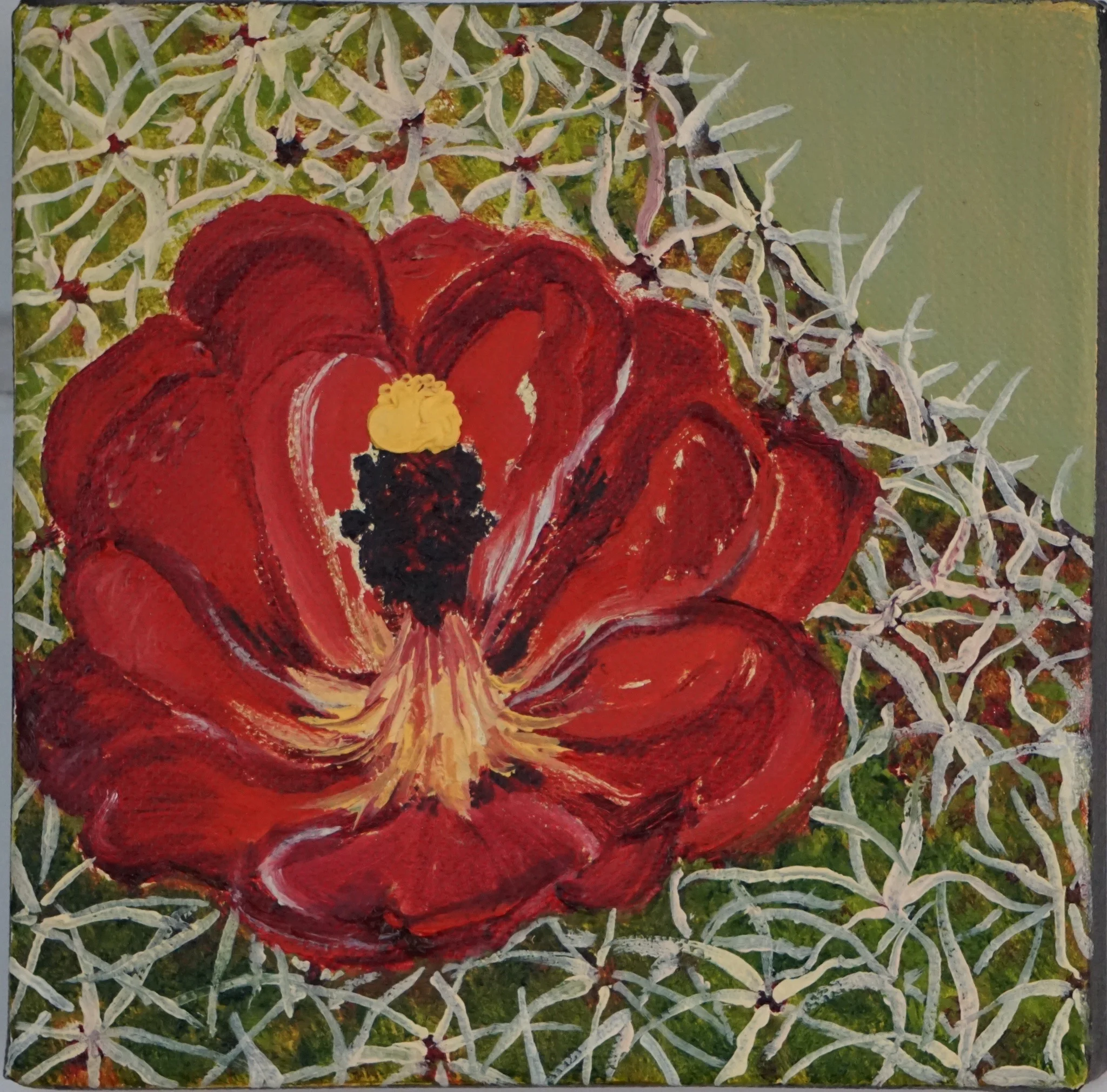 Desert Bloom Series, untitled