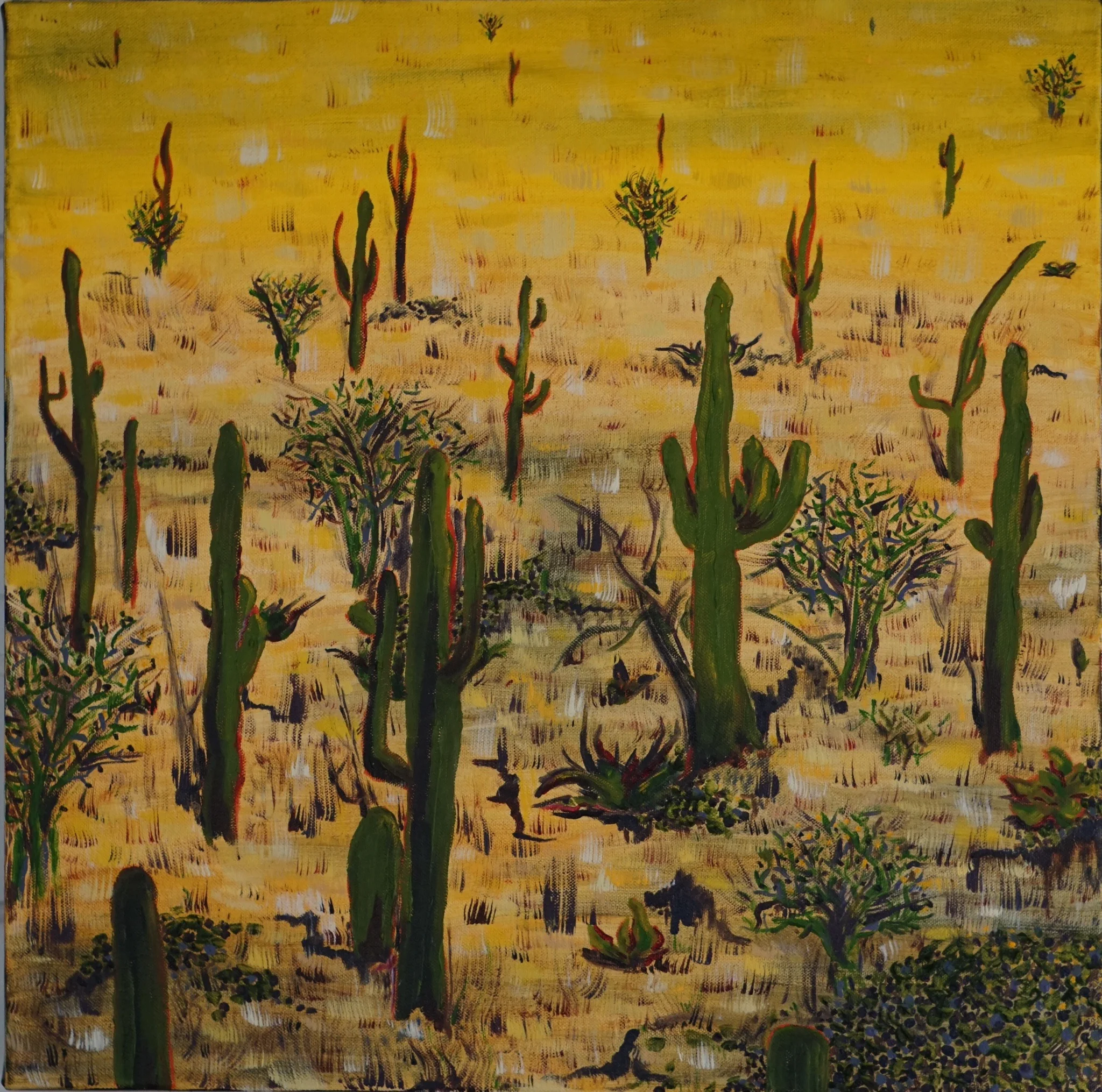 Sonoran Sunrise, Sunset Series, untitled