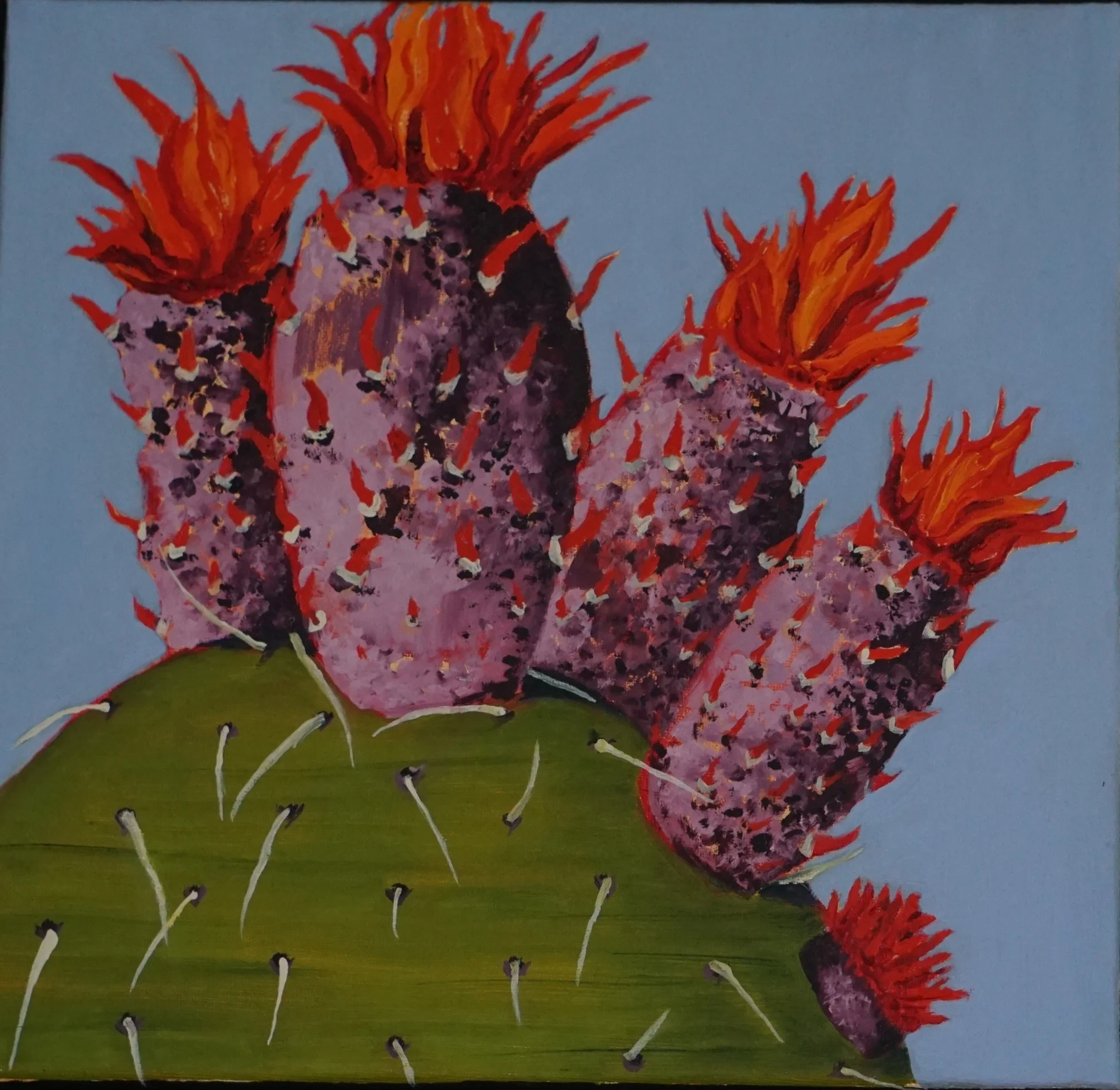 Desert Bloom Series, untitled